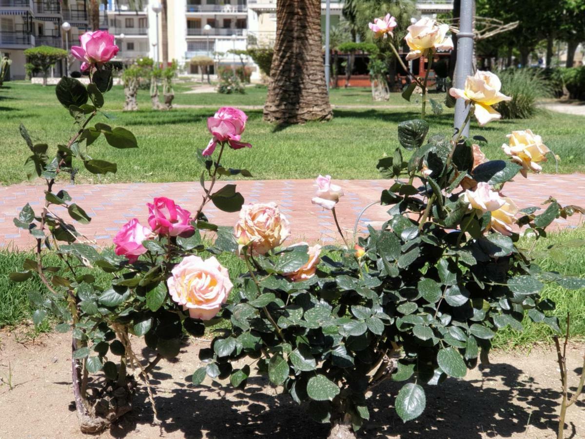 Apartament Apartamento Kristina Salou Zewnętrze zdjęcie
